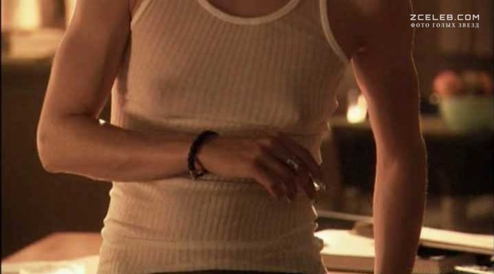 Katherine Moennig breasts